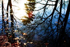 photo 0195